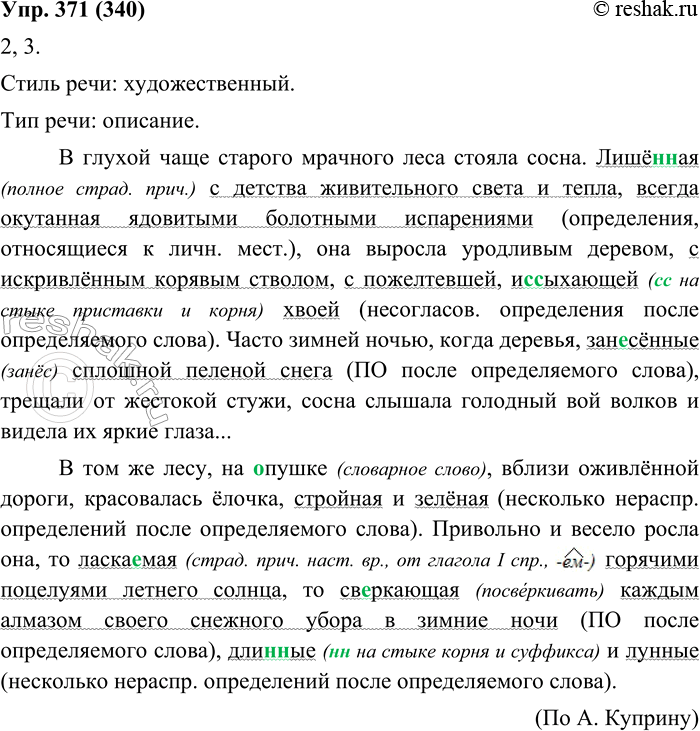 Изображение 371. 1. Прочитайте выразительно текст, обращая особое внимание на обособленные определения.В глухой чаще старого мрачного леса стояла сосна. Лишённая с детства...